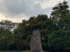 -荔枝公园(福田区)