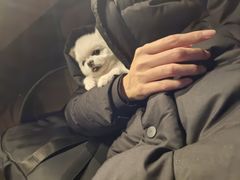 -海天市场(淮河路店)