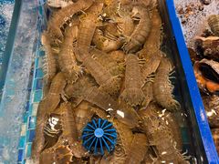 -映像威海·威海宴(威高广场店)