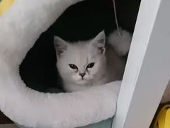 -宠颐生汉谟拉比宠物医院