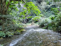 -古龙山大峡谷