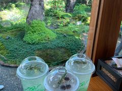 -Chom Cafe and Restaurant