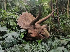 -广州长隆国际大马戏