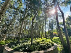 -仁和公园(顺义区)