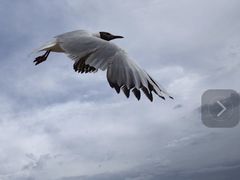 -沈阳森林动物园