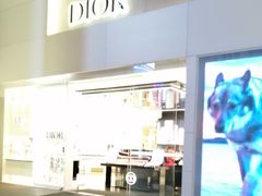 -Dior迪奥(上海世茂广场店)