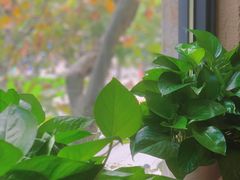 -泥糊破店小酒馆·团建聚餐(南京西路店)