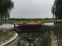 -白洋淀景区