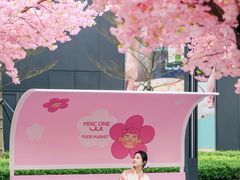 -东莞松山湖万象汇