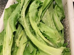 -湘肠香火锅店(团结湖店)