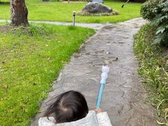-世博洲际酒店-盛会堂中餐厅