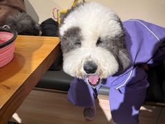 -小意思咖啡店(草桥店)