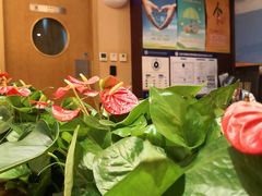 -COSTA COFFEE(西贸凯德晶品4层2店)