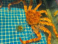 -驻海渔市(置信店)