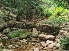 -老张烤羊(王哥庄店)