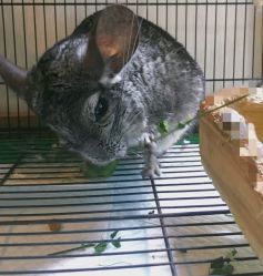 -爱嘉生活美甲美睫纹绣半永久