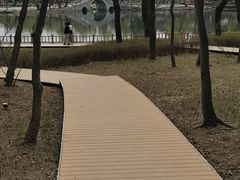 -长春市南湖公园