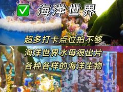 -威海华夏城景区
