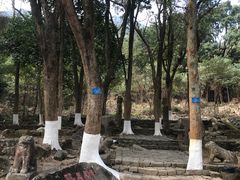 -福清灵石山国家森林公园