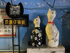 -猫咪博物馆(顶澳仔猫街店)