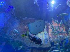 -华夏文旅海洋公园