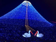 -杭州湾海上花田景区