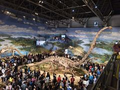 -自贡恐龙博物馆