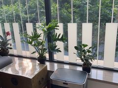 -刘健艺术钢琴学校·专注钢琴教育25周年(徐家汇校区)