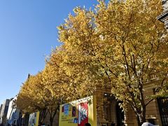 -陈记卤煮小肠