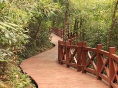 -广州市石门国家森林公园