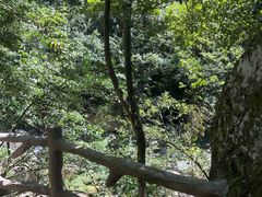 -黄山翡翠谷景区