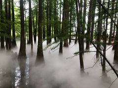 -东湖落雁景区