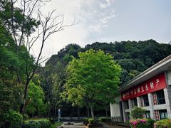 -千岛湖东南湖区