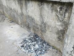 -求水山公园
