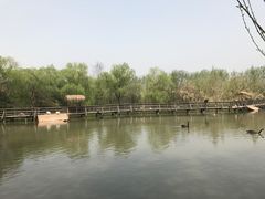 -溱湖国家湿地公园