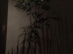 -二酉书店TOYOU BOOKS