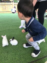 -萌宠亲子动物乐园(槐房万达店)