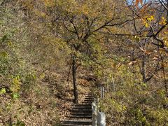 -环翠峪风景区