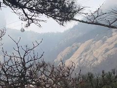 -崂山巨峰游览区