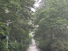 -大鹿岛