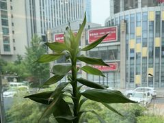 -船家渔(徐州北路店)