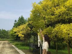 -同里国家湿地公园