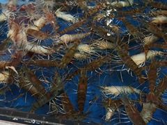 -盒马鲜生(莱蒙都会店)