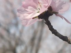 -吉林大学前卫校区南区-日新楼