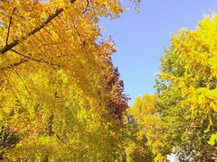 -陕西师范大学(雁塔校区)
