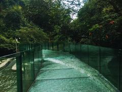 -大围山峡谷漂流