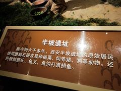 -中国农业博物馆