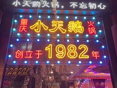 -小天鹅火锅·一线江景洪鼎旗舰店(洪崖洞店)