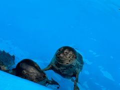 -泉城欧乐堡海洋极地世界