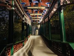 -迎泽公园